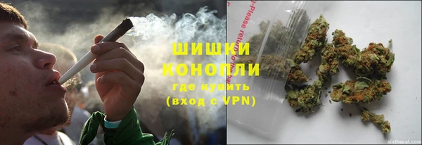 прущие грибы Навашино