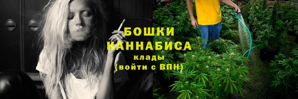 прущие грибы Навашино