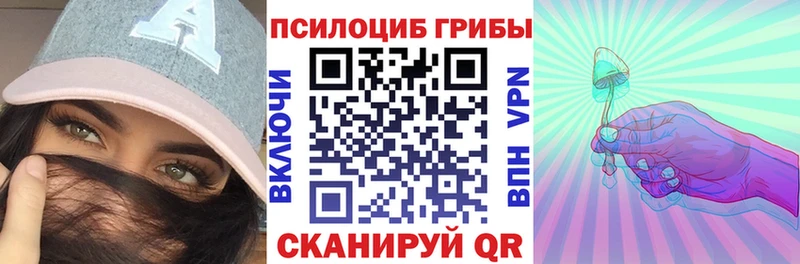 Псилоцибиновые грибы GOLDEN TEACHER  цены наркотик  Калининец 